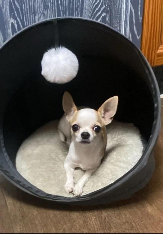 A recent photo of Betty.