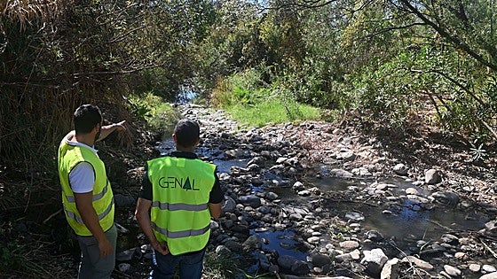 Pioneering conservation project restores original flora and fauna in San Pedro river area