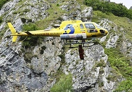 File image of an Asturias fire brigade helicopter.