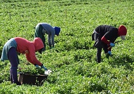 Andalucía public prosecutor's office highlights increase in work-related accidents in agriculture and construction sectors in last year