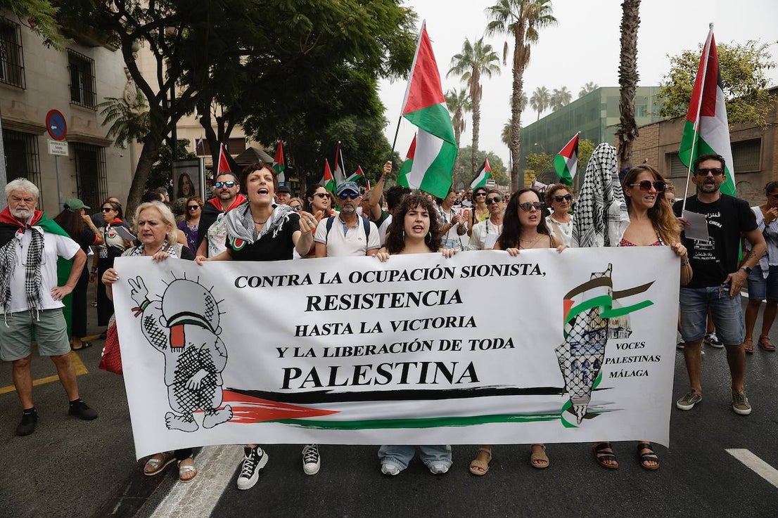 More than 2,000 protesters join Gaza 'genocide' march in Malaga, in images