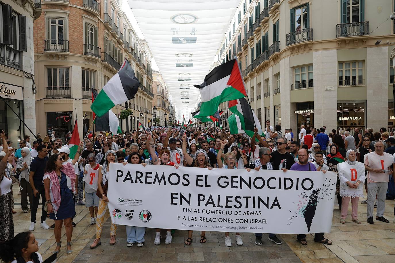 More than 2,000 protesters join Gaza &#039;genocide&#039; march in Malaga, in images