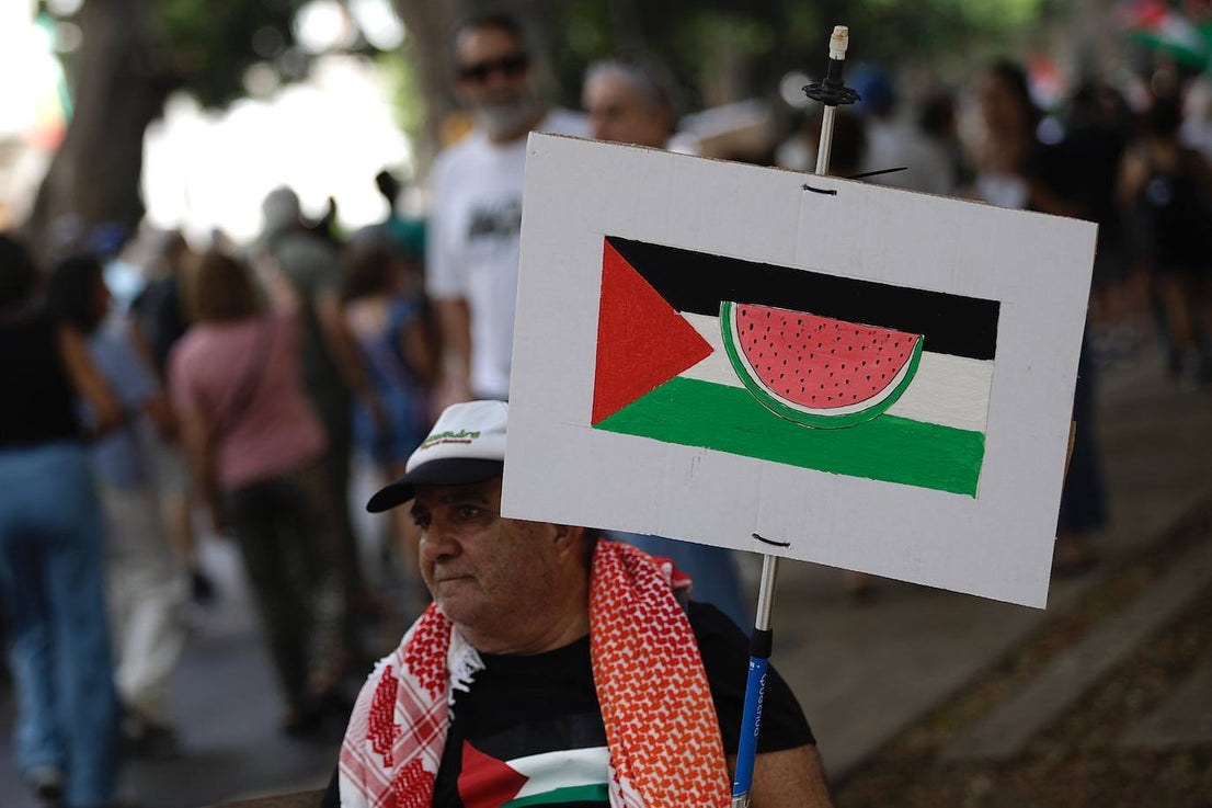 More than 2,000 protesters join Gaza 'genocide' march in Malaga, in images