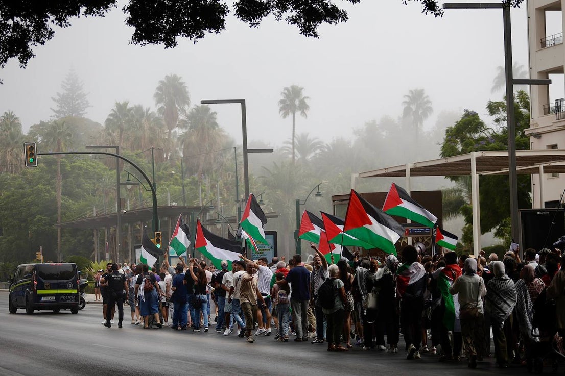 More than 2,000 protesters join Gaza 'genocide' march in Malaga, in images