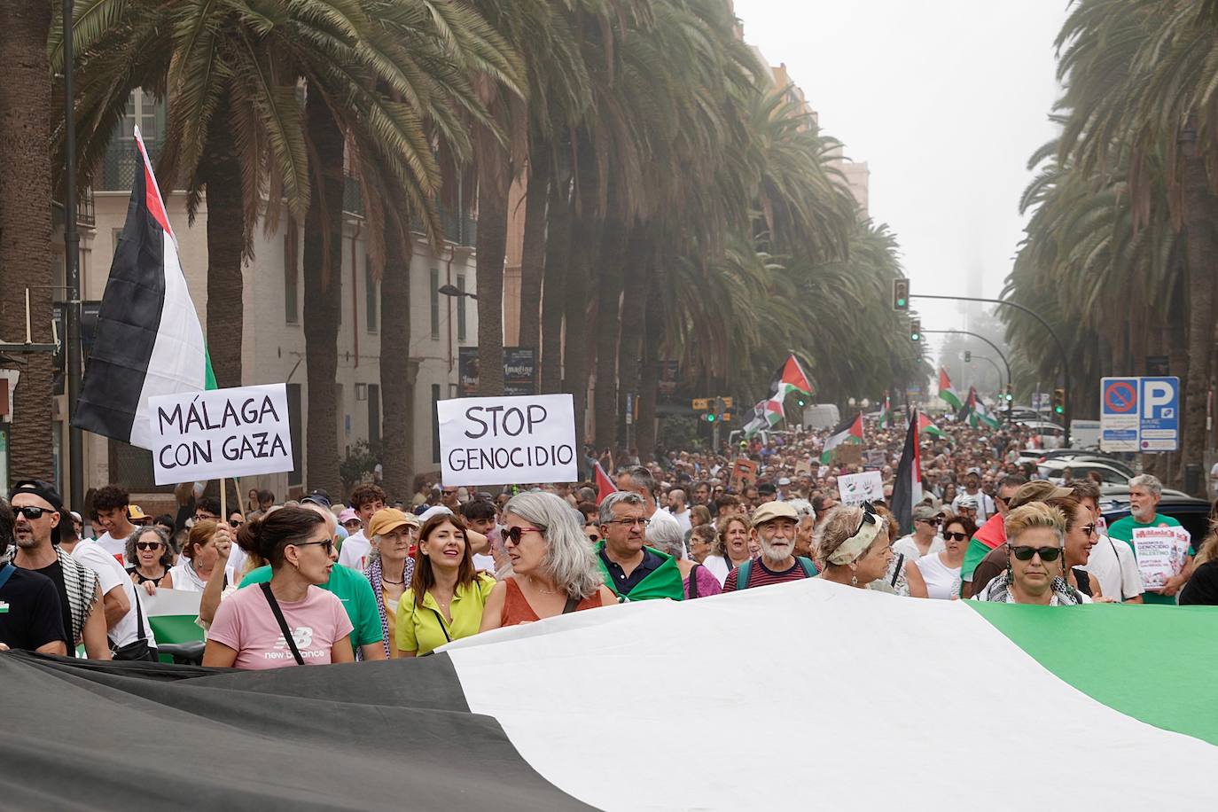 More than 2,000 protesters join Gaza 'genocide' march in Malaga, in images