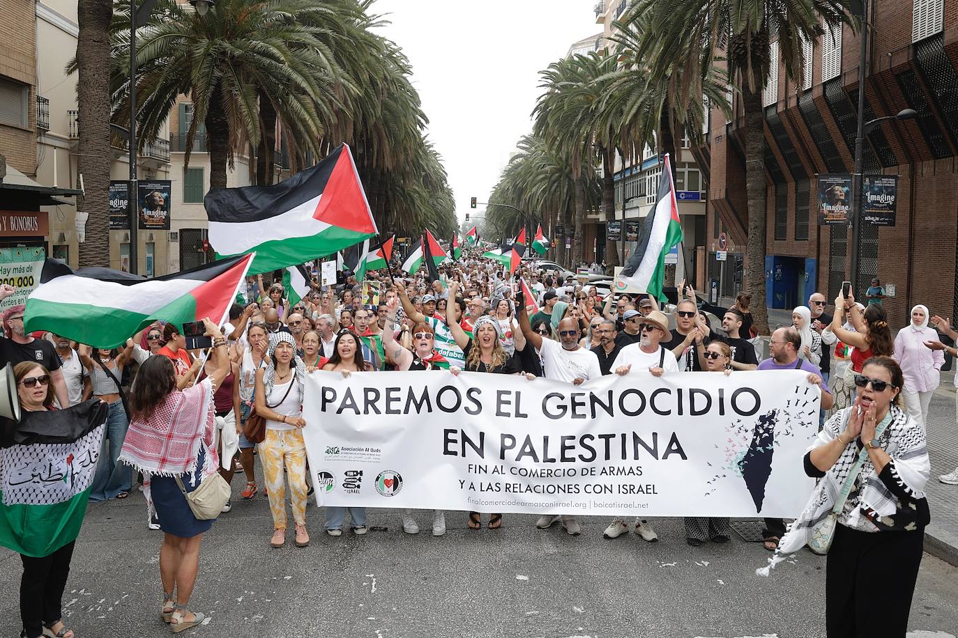 More than 2,000 protesters join Gaza &#039;genocide&#039; march in Malaga, in images