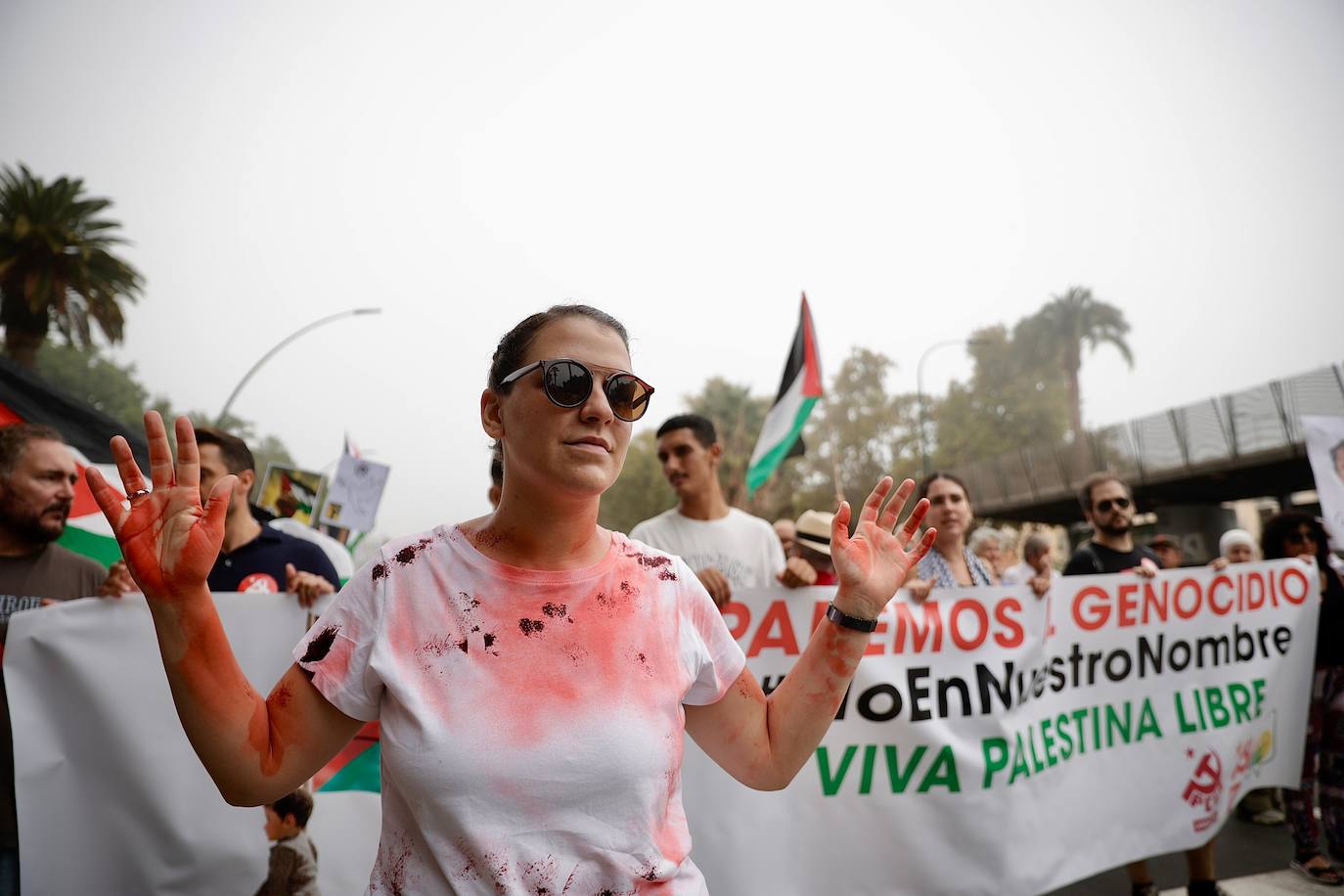 More than 2,000 protesters join Gaza 'genocide' march in Malaga, in images