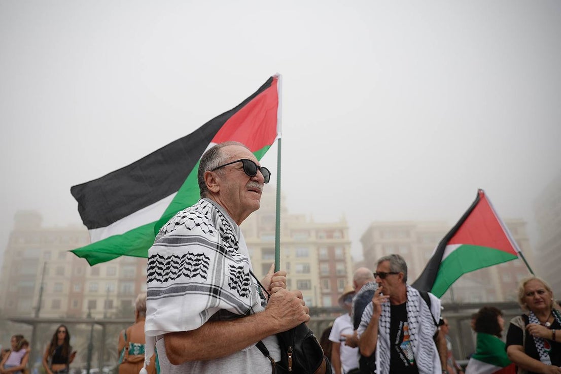 More than 2,000 protesters join Gaza 'genocide' march in Malaga, in images
