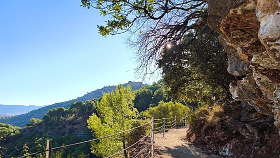 El Burgo opens new hiking trail in Malaga province's Parque Nacional Sierra de las Nieves