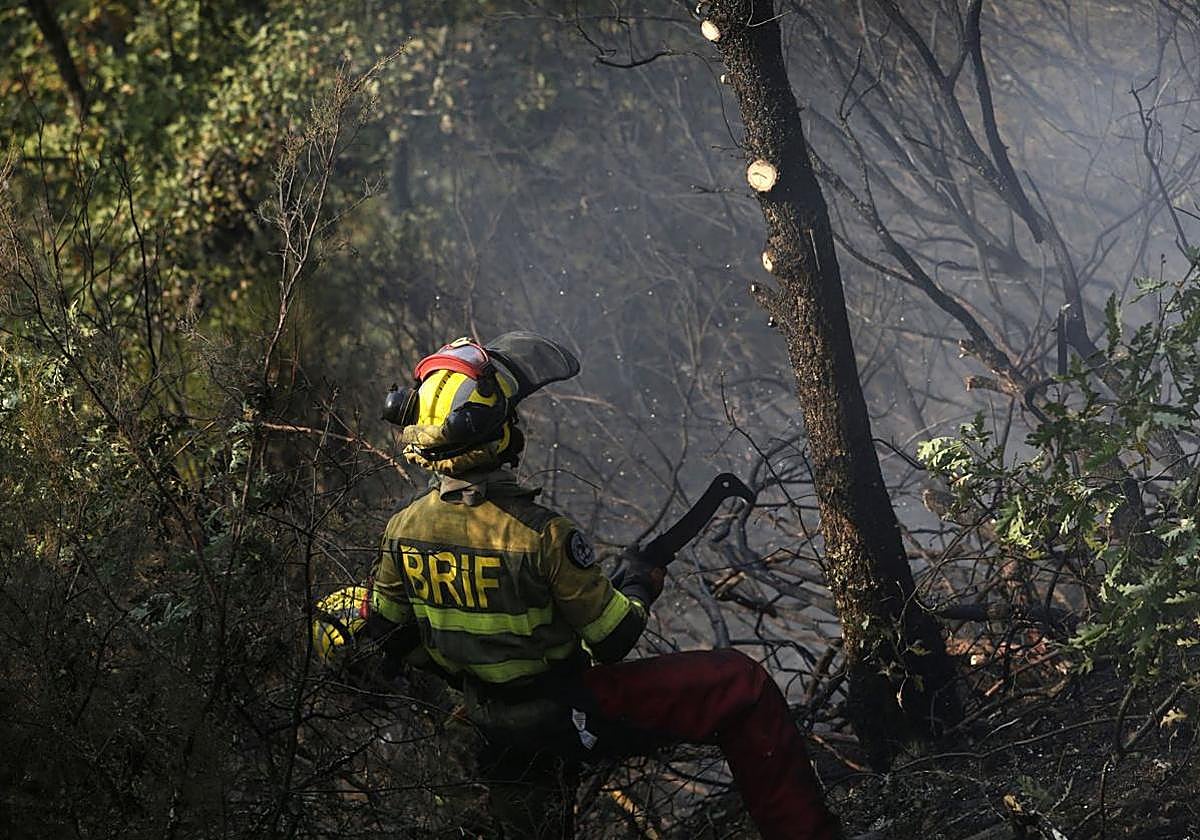 A forest firefighter tackles a fire in León this summer.