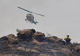 Infoca firefighters intervene during a fire in Malaga.