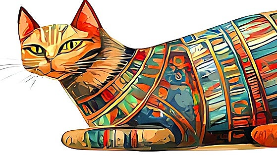 Ten myths about cats that need to be dispelled