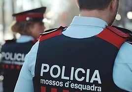 The Mossos d'Esquadra regional police force has taken over the investigation.