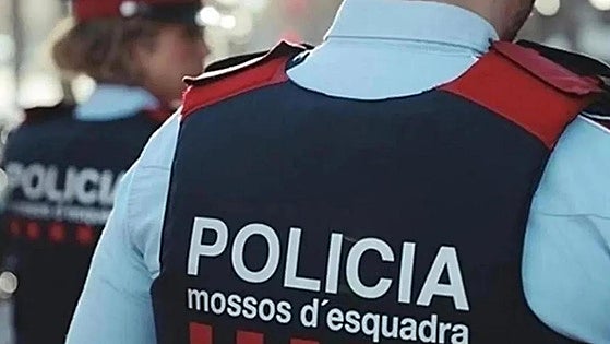 Dismembered body discovered inside suitcase dumped next to rubbish bin in Barcelona