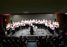 The choir during a concert earlier this year.