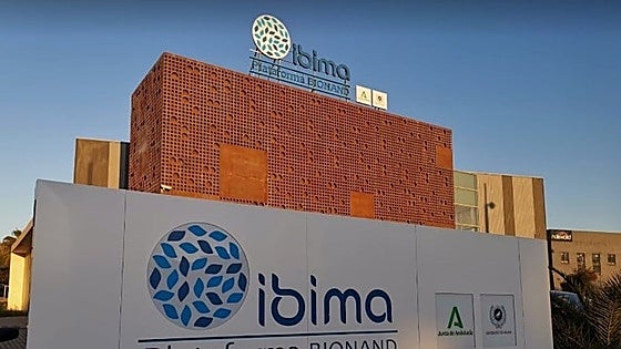 Malaga researchers work on major blood test breakthrough to personalise cancer treatments