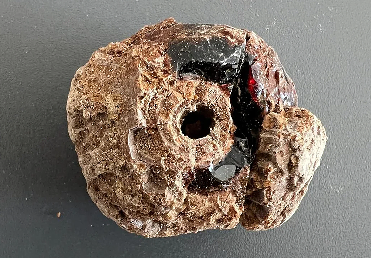 Imagen secundaria 1 - Some of the discoveries.