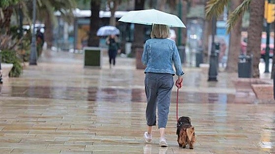 First rains of autumn arrive in Malaga and on the Costa del Sol: these are the areas most likely to get some