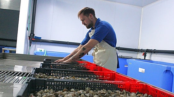 These are the shellfish species that have disappeared from the Costa del Sol's coastline: 'It is a disaster'