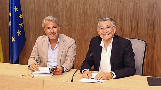 Marbella will approve construction of 800 subsidised housing units in San Pedro over five-year period