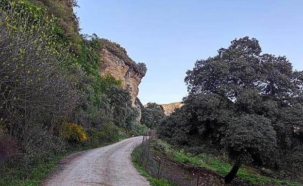 Walk towards the Tajo del Abanico, in Ronda.