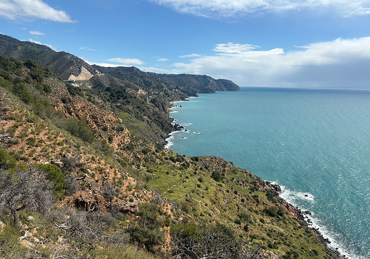 The natural area of the Maro-Cerro Gordo cliffs.