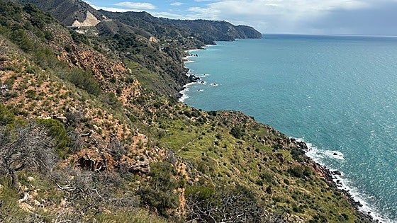 The 'extraordinary' natural value of the Costa del Sol's Maro-Cerro Gordo cliffs, home to some 1,500 species