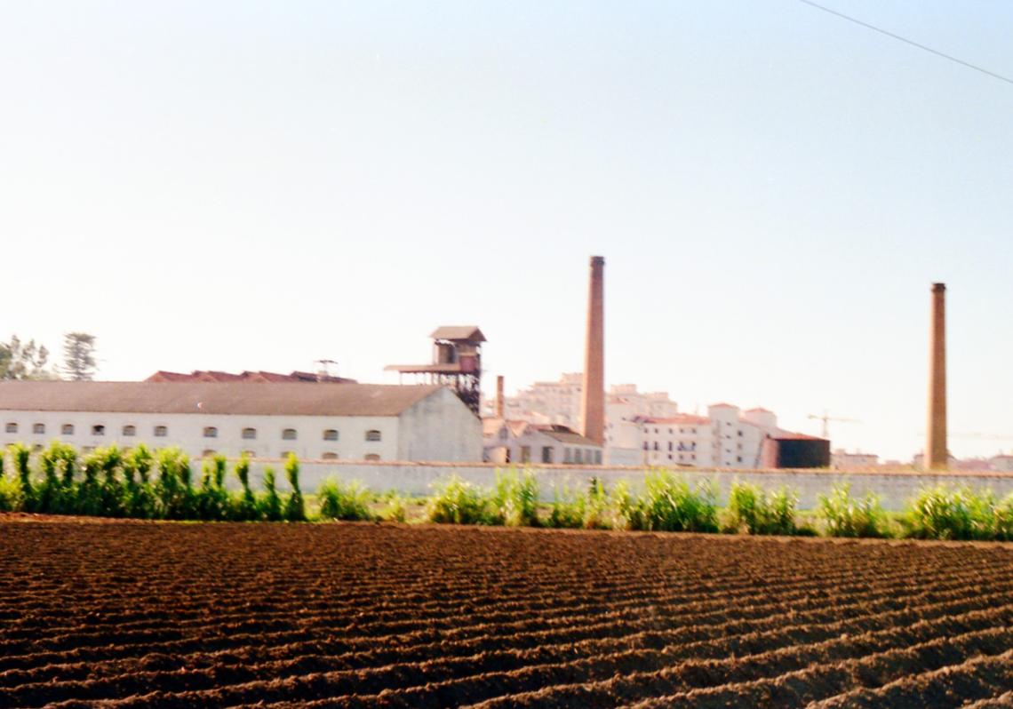 Imagen antes - The sugar cane factory nowadays is mostly used for permanent and temporary exhibitions.