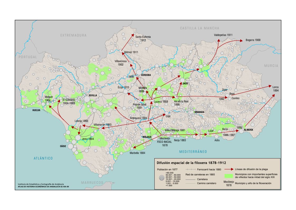 The spread of phylloxera across Andalucía.