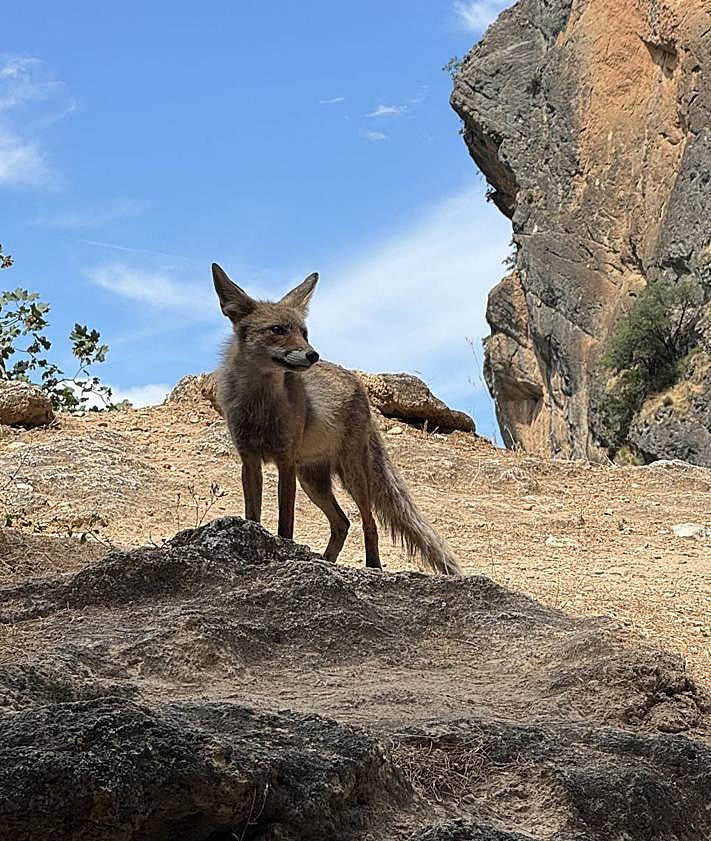 Imagen secundaria 2 - The hiking route with endless waterfalls in Spain&#039;s Andalucía region, perfect to do this autumn