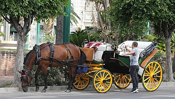End of road for horse-drawn carriage rides for tourists in Malaga