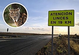 Sign installed near Campillos town centre.