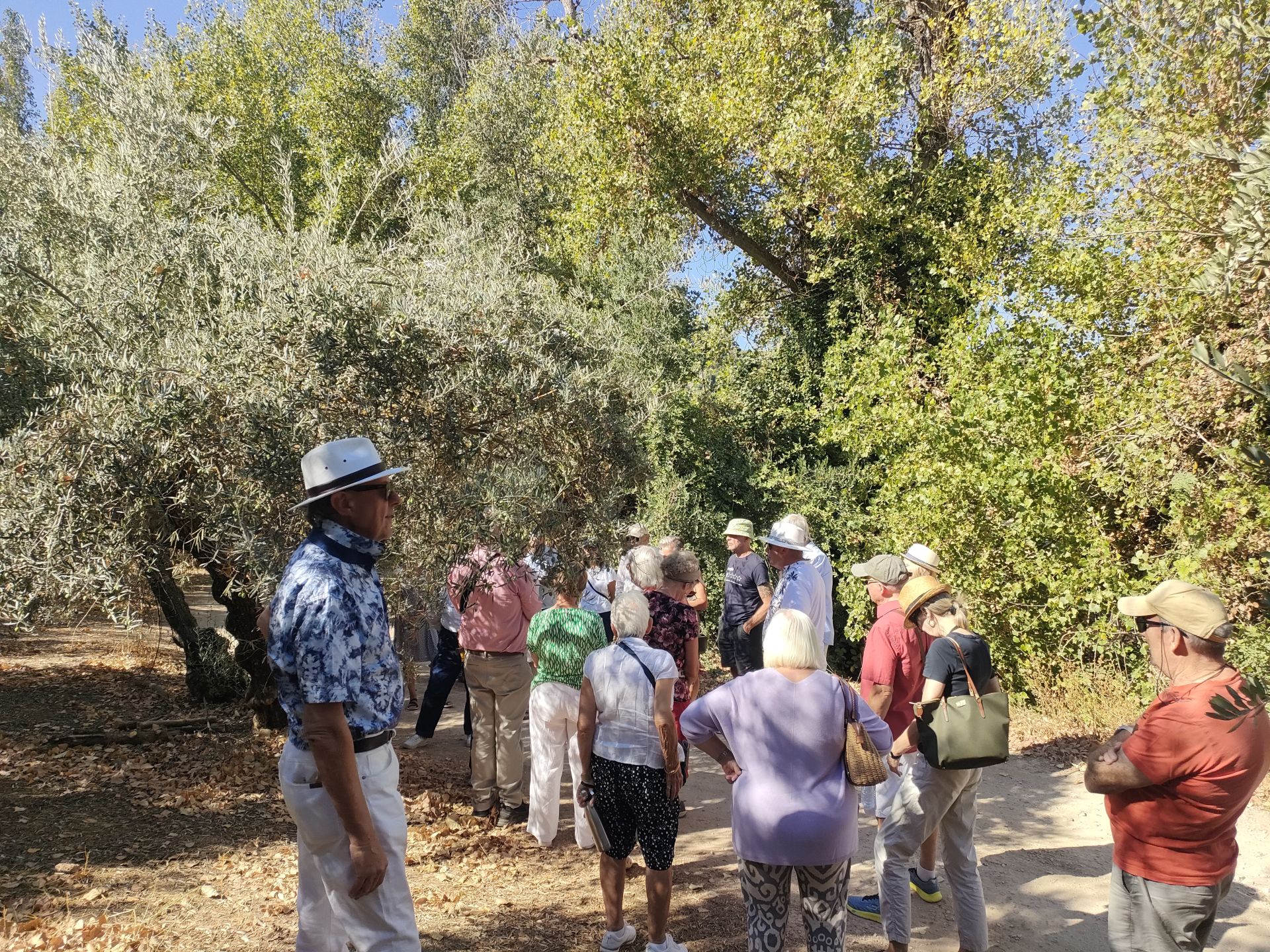 Discovering the delights of Cordoba&#039;s Subbética