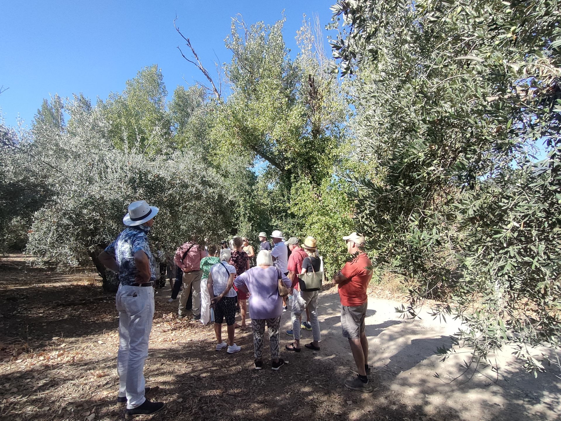 Discovering the delights of Cordoba's Subbética