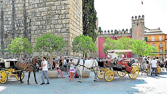 Major tourist city in Spain distances itself from Malaga over its ban on horse-drawn carriages