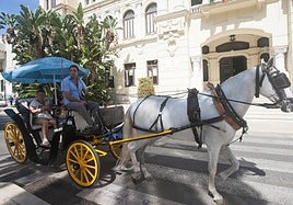 Malaga mayor defends ban on horse-drawn carriages: 'There are far better options than the slaughter of the animals'