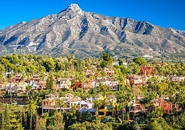 Art, sea and elegance: the new language of luxury