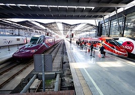 File image of the four high-speed brands (AVE, Avlo, Iryo and Ouigo) lined up at Malaga's María Zambrano station.