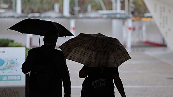 Aemet activates yellow alerts in Malaga for heavy rain and storms as 'Dana' Alice rolls in