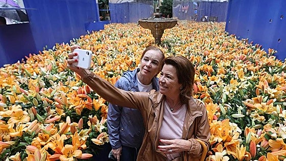 Cordoba's massive flower festival transforms city into garden of art and blooms
