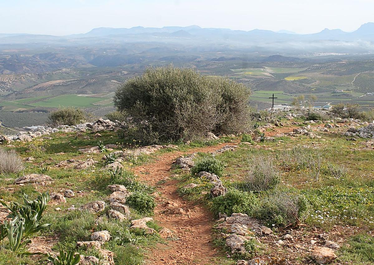 Imagen secundaria 1 - Camorra viewpoint in Alameda from where you can see five Andalusian provinces