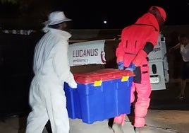 The box containing the nest.