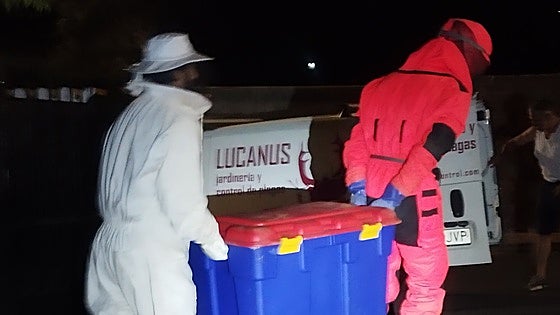 Alhaurín de la Torre removes first Asian hornet nest recorded in the province of Malaga