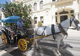 The iconic horse-drawn carriages are a thing of the past in Malaga city.