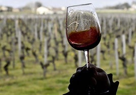 Wine tasting session in the Bordeaux region, France