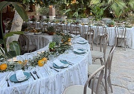 The Art of Luxury on the Costa del Sol: Experiences that Redefine Elegance