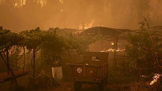 Man suspected of starting wildfire that devastated 3,200 hectares in Spain this summer arrested