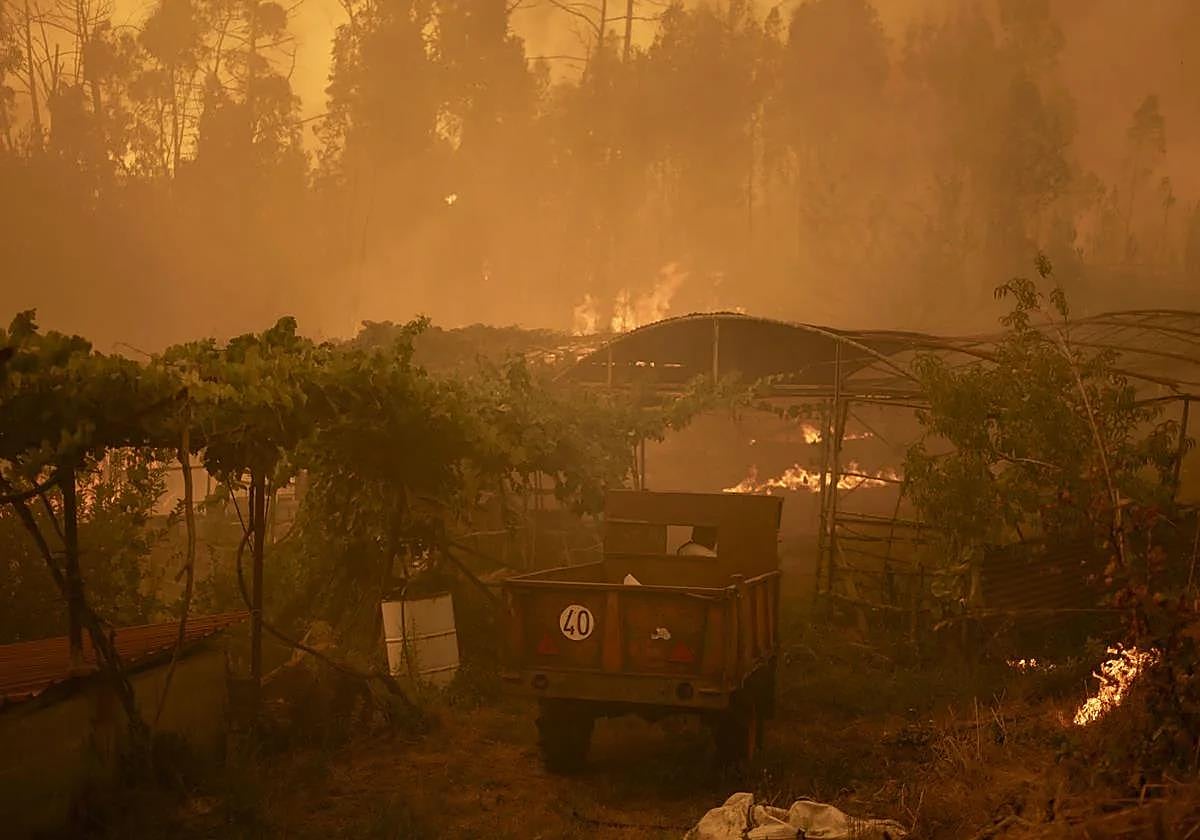 Forest fire in Carballeda de Avia (Orense).