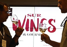 SUR Wines & Gourmet 2025, in pictures