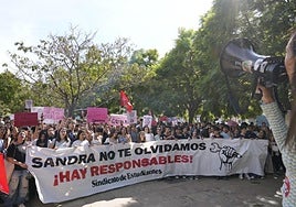 Demonstrators in the centre of Malaga on Tuesday.